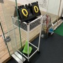 핏-타운 이미지