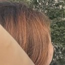 봉화산역 | [준오헤어 신내점] 시현 디자이너 염색 후기 🫶🏻 봉화산역 미용실 추천