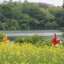 웅천읍 노천리534-1 이미지