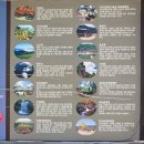 구례군청소년수련원 | 구례 산수유꽃 축제 후기 2026.03.23