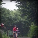 팔현2리 이미지