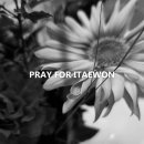 준현유치원 이미지