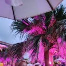 호텔리젠시 나이트 이미지