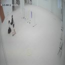 자매체형관리 이미지