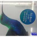 세븐일레븐 신정점 이미지
