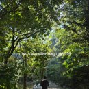용수목산장