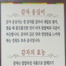 숲속샘터의원 네이버블로그