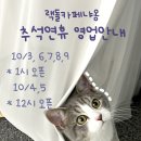 랙돌카페냐옹 이미지