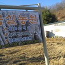 용궁농장 이미지