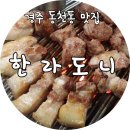 한라도니 이미지