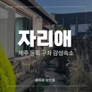 자리애 | [제주/ 구좌] 동쪽 가성비 감성 독채 숙소 추천 동복리 자리애