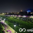 봉남천 이미지