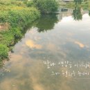 지원캘리 네이버블로그