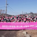 참포도나무병원 이미지