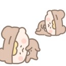 주식회사 로제 이미지