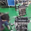 거성범퍼 | 대구 거성엔진 기아 그랜드카니발R 2.2 엔진보링 교체입니다.
