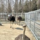 경주부화장 이미지