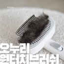 고양이털제거 완성형🐱 오누리 원터치 브러쉬 솔직 후기!