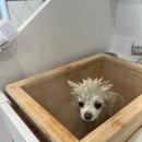 굿데이몽 이미지