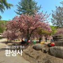 대구 근교 겹벚꽃 경산 환성사 가는법 하양 가볼만한곳