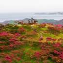 도화동산 이미지