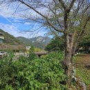 산아래 집밥 이미지