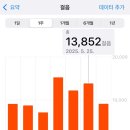 [여행] 부산 여행｜엄마와 2박 3일 마지막날｜태종대 밀양갈비 (생갈비) 내돈내산