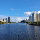 수영강변 이미지