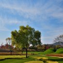 코아루푸르나임 이미지