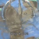 인형뽑아방 이미지