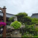 오목천로 이미지