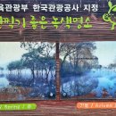 운치 이미지