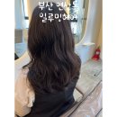 일루밍헤어 이미지
