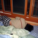 미애민박 | [펌] 안면도 워크샵 후기1