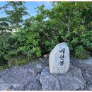 8월29일 한여름 무더위를 날려버릴 '구름 위 산책'으로 초대합니다! 매봉산 바람의언덕 이미지