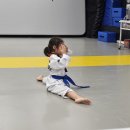 하남북위례 품태권도장 | 북위례태권도 우리 아이의 자신감을 키워준 월드타이거즈태권도장 후기