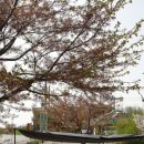 지에스(GS)25강화한옥 이미지