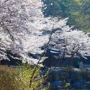 마이산주유소 이미지