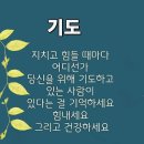 ♧참좋은글 - 한 여인의 지고지순한 인생 고백♧ 이미지