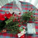 (주)아성다이소 안산월피점 | 다이소 해피크리스마스 소품 후기🎄 워터볼, 미니유리트리,조화