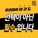 서산최강태권도 이미지