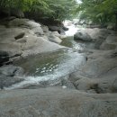 성불산장앞 이미지