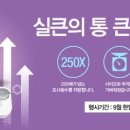 벨라 코리아 이미지