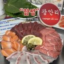 영화2호 | [합정맛집] 분위기 좋은 합정에서 횟집 찾는다면? "합정광안리 숙성횟집 2호점" 내돈내산 후기