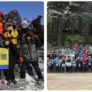 멘토링공인중개사사무소 이미지