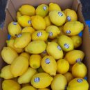 (주)골드레몬 이미지