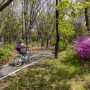 경춘선 자전거도로6 이미지