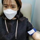 홍자 카카오 검색결과
