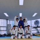 공명 유도 주짓수 이미지