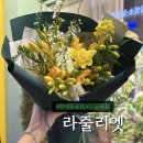 라줄리엣 이미지